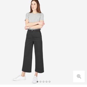 Everlane Wide Leg Crop Pant 6 Short Black